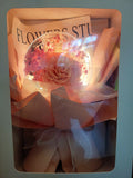 Acrylic Ball Preserved Pink Rose Flowers Bouquet With My Melody Plush