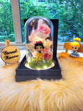 Princess Snow White Preserved Flower Dome With Pink Roses And Same Day Delivery