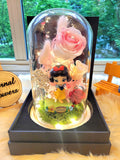 Princess Snow White Preserved Flower Dome With Pink Roses And Same Day Delivery