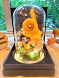 Princess Snow White Preserved Flower Dome With Yellow Roses And Same Day Delivery