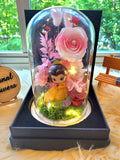 Princess Belle Preserved Flower Dome With Pink Roses And Same Day Delivery