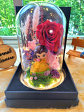 Princess Belle Preserved Flower Dome With Red Roses And Same Day Delivery