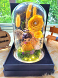 Princess Belle Preserved Flower Dome With Yellow Roses And Same Day Delivery