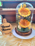 Sun Flowers Personalised LED Preserved Flowers Dome. 100% High Quality Real Flowers.
