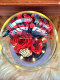 Red Roses Personalised LED Preserved Flowers Dome. 100% High Quality Real Flowers.