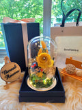 Princess Snow White Preserved Flower Dome With Yellow Roses And Same Day Delivery