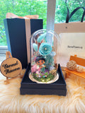 Princess Jasmine Preserved Flower Dome With Tiffany Roses And Same Day Delivery