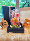 Princess Aurora Preserved Flower Dome With Pink Roses And Same Day Delivery