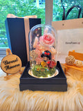 Princess Snow White Preserved Flower Dome With Pink Roses And Same Day Delivery