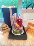 Princess Rapunzel Preserved Flower Dome With Red Roses And Same Day Delivery