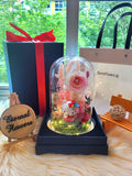 Hello Kitty Preserved Flower Dome With Pink Roses And Same Day Delivery