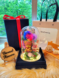 Premium Winnie The Pooh Preserved Flower Dome With Rainbow Roses And Same Day Delivery