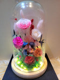 5 Roses Eternal Couple V2 Preserved Flower Dome (Pink Theme)