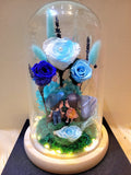 5 Roses Eternal Couple V2 Preserved Flower Dome (Multi-Blue Theme)