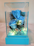 Preserved Blue Roses In Acrylic Box. 100% High Quality Real Flowers. Same Day Delivery