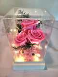 Preserved Pink Roses In Acrylic Box. 100% High Quality Real Flowers. Same Day Delivery.