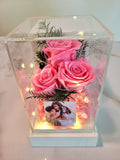 Preserved Pink Roses In Acrylic Box. 100% High Quality Real Flowers. Same Day Delivery.