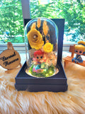 Princess Ariel Preserved Flower Dome With Yellow Roses And Same Day Delivery