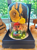 Princess Ariel Preserved Flower Dome With Yellow Roses And Same Day Delivery