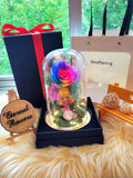 Princess Aurora Preserved Flower Dome With Rainbow Roses And Same Day Delivery