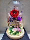 Special Edition Merry Christmas Preserved Flower Dome With Red Roses And Same Day Delivery