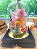 Princess Cinderella Preserved Flower Dome With Pink Roses And Same Day Delivery