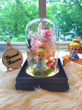 Princess Cinderella Preserved Flower Dome With Pink Roses And Same Day Delivery