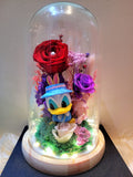 Donald Duck Preserved Flower Dome With Red Roses and Same Day Delivery