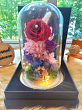 Eternal Couple V5 Preserved Flower Dome With Red Roses And Same Day Delivery