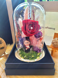 Female Graduate Preserved Flower Dome With Red Roses And Same Day Delivery