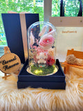 Cute Fufubai Preserved Flower Dome With Pink Roses And Same Day Delivery