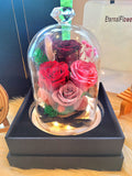 Heart Of Roses Personalised LED Preserved Flowers Dome. 100% High Quality Real Flowers. Same Day Delivery.