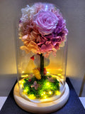 Hello Kitty Hydrangea Tree With Preserved Roses in Glass Dome