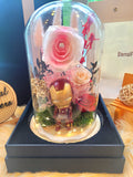 Ironman Preserved Flower Dome With Pink Roses And Same Day Delivery
