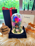 Princess Jasmine Preserved Flower Dome With Rainbow Roses And Same Day Delivery