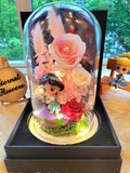 Princess Jasmine Preserved Flower Dome With Pink Roses And Same Day Delivery