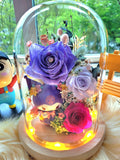 Premium Kuromi Hot Pink Purple Passion Preserved Flowers Dome (Same Day Delivery Available)