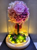 My Melody Hydrangea Tree With Preserved Roses in Glass Dome