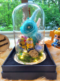 Minion Preserved Flower Dome With Tiffany Roses and Same Day Delivery