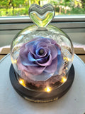 Petite Blue and Purple Mix Color Rose LED Preserved Flowers Dome. 100% High Quality Real Flowers.