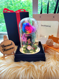 Princess Mulan Preserved Flower Dome With Rainbow Roses And Same Day Delivery