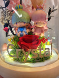 Twin Stars Preserved Flower Dome With Pink Roses And Same Day Delivery