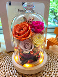 Bright Orange Pink Yellow and White Roses Personalised LED Preserved Flowers Dome. 100% High Quality Real Flowers. Same Day Delivery.