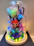 Princess Ariel Preserved Flower Dome With Pastel Rainbow Roses And Same Day Delivery