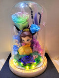 Princess Belle Preserved Flower Dome With Pastel Rainbow Roses And Same Day Delivery