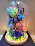 Twin Stars Preserved Flower Dome With Pastel Rainbow Roses And Same Day Delivery