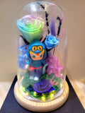 Premium Popmart Molly Preserved Flower Dome With Pastel Rainbow Roses And Same Day Delivery