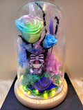 Kuromi Preserved Flower Dome With Pastel Rainbow Roses And Same Day Delivery