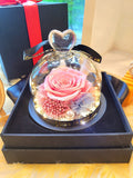 Petite Pink Color Rose LED Preserved Flowers Dome. 100% High Quality Real Flowers. Comes With A Premium Gift Box.