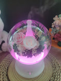 LED Preserved Flowers Aroma Diffuser With Light Pink and White Roses